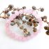 Rozenkwarts resonantie armband